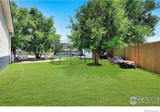 2036 1st Ave Unit 437, Greeley, CO 80631 - view of yard featuring a trampoline