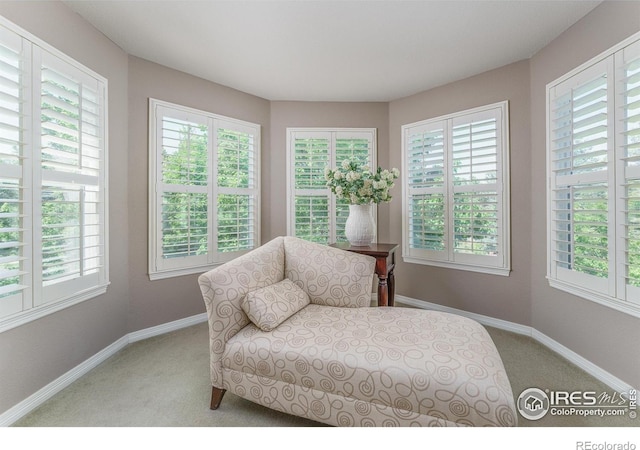 13951 Brookside Ct, Broomfield, CO 80023 - photo 22
