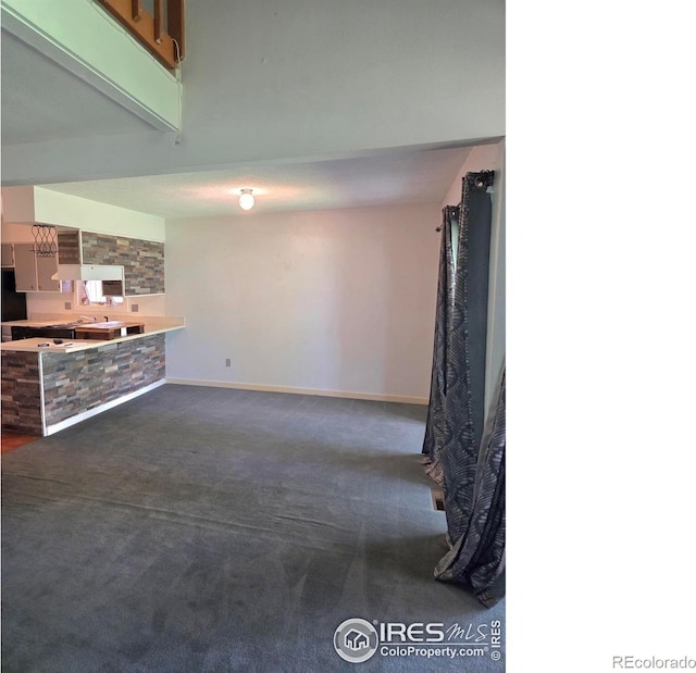 1550 W 28th St Unit 1, Loveland, CO 80538 - unfurnished living room featuring dark colored carpet and baseboards