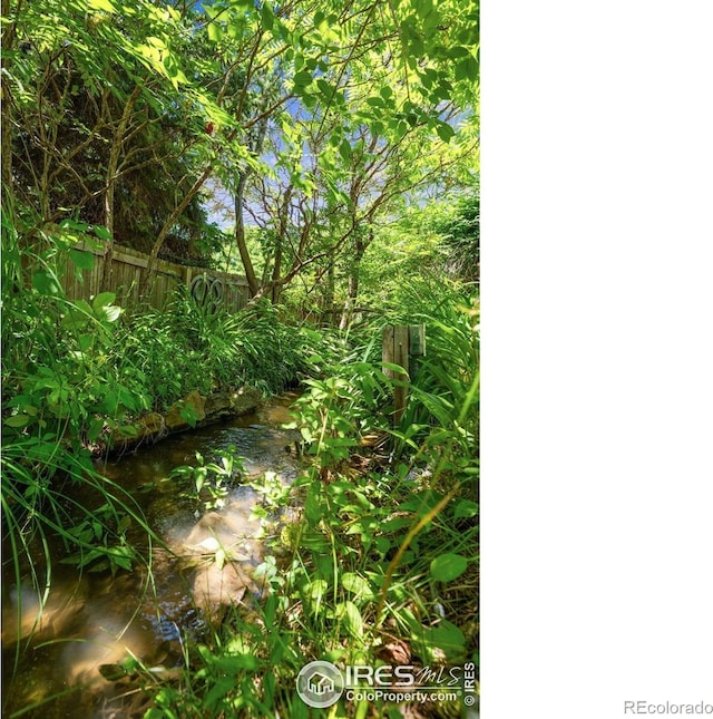 2513 Lanyon Dr, Longmont, CO 80503 - view of local wilderness