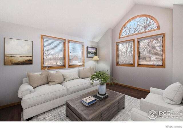 7945 Allott Ave, Fort Collins, CO 80525 - photo 5