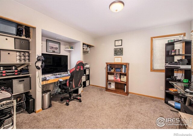 7945 Allott Ave, Fort Collins, CO 80525 - photo 10