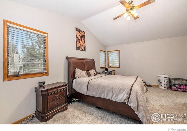 7945 Allott Ave, Fort Collins, CO 80525 - photo 11