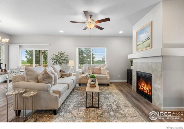 5017 Hawtrey Dr, Windsor, CO 80550 - photo 9