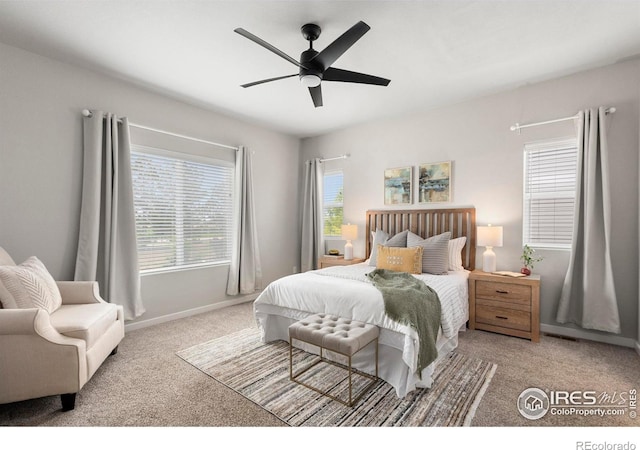 5017 Hawtrey Dr, Windsor, CO 80550 - photo 19