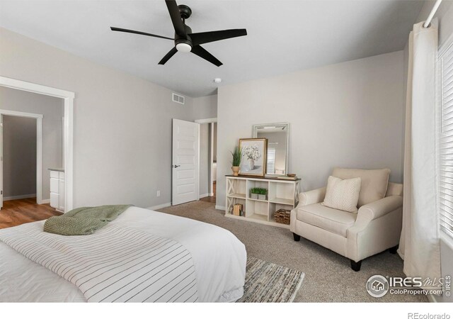 5017 Hawtrey Dr, Windsor, CO 80550 - photo 20