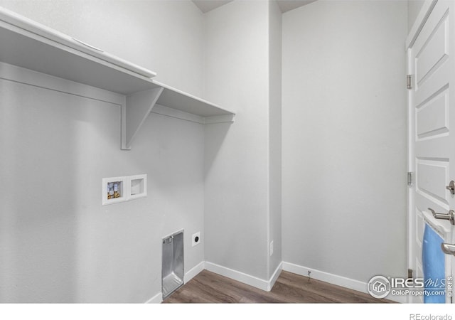 5017 Hawtrey Dr, Windsor, CO 80550 - photo 26