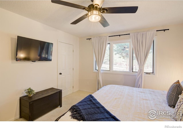 30795 W Ridge Rd, Buena Vista, CO 81211 - bedroom with light colored carpet and a ceiling fan