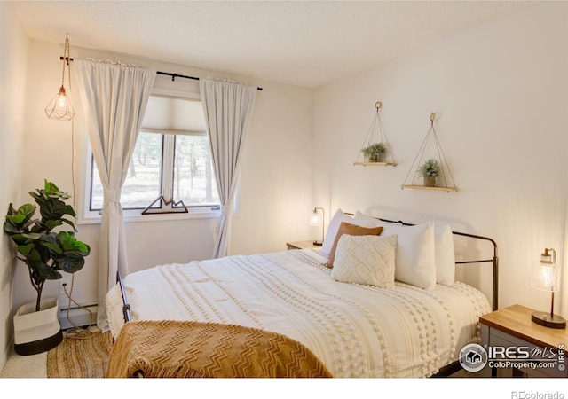 30795 W Ridge Rd, Buena Vista, CO 81211 - bedroom with carpet and a baseboard radiator