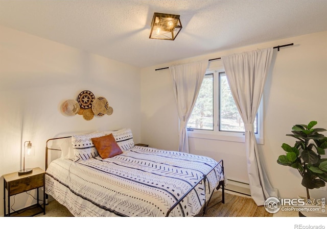 30795 W Ridge Rd, Buena Vista, CO 81211 - bedroom featuring baseboard heating