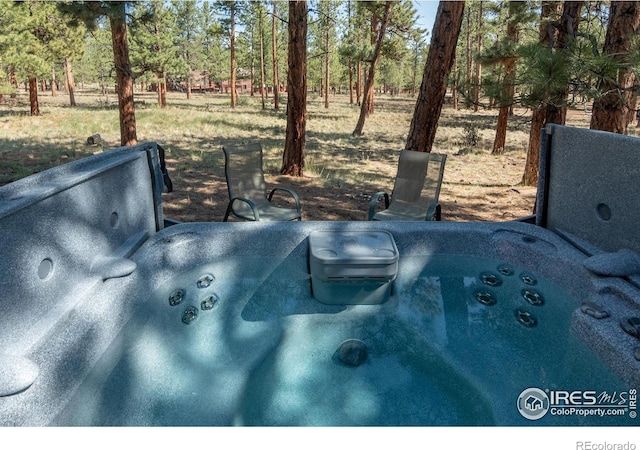 30795 W Ridge Rd, Buena Vista, CO 81211 - exterior view of a jacuzzi