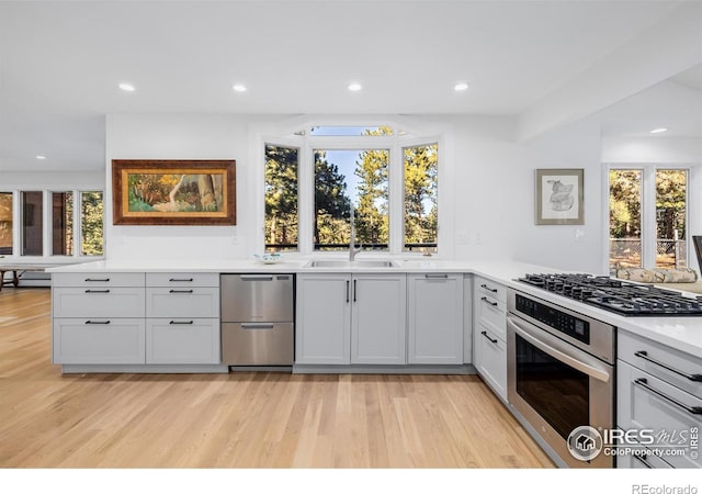 37 Wagner Cir, Boulder, CO 80304 - kitchen with appliances with stainless steel finishes, light wood-style floors, recessed lighting, and light countertops