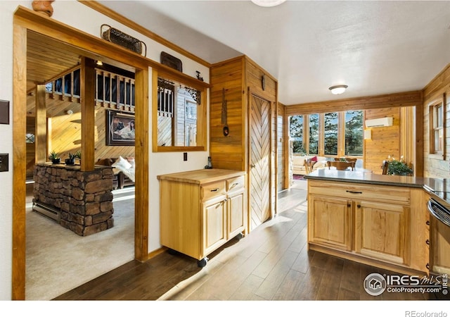 451 Newell Dr, Loveland, CO 80537 - kitchen featuring wooden walls, dark wood-style flooring, dark countertops, and a wall mounted AC