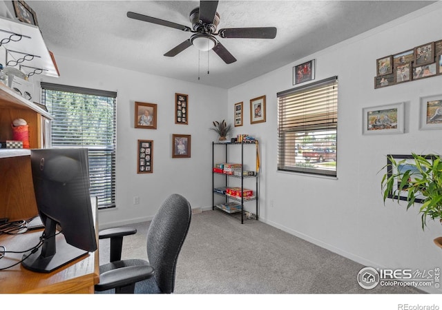 607 42nd Ave, Greeley, CO 80634 - office with plenty of natural light, a ceiling fan, carpet flooring, and a textured ceiling