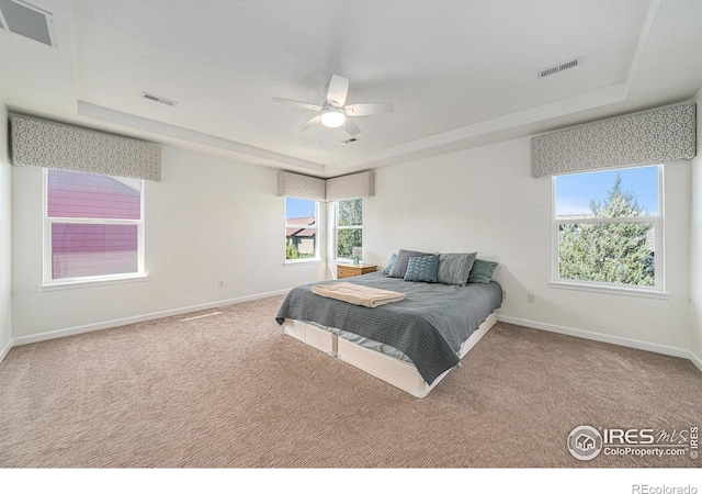 5420 Copernicus Dr, Fort Collins, CO 80528 - photo 18