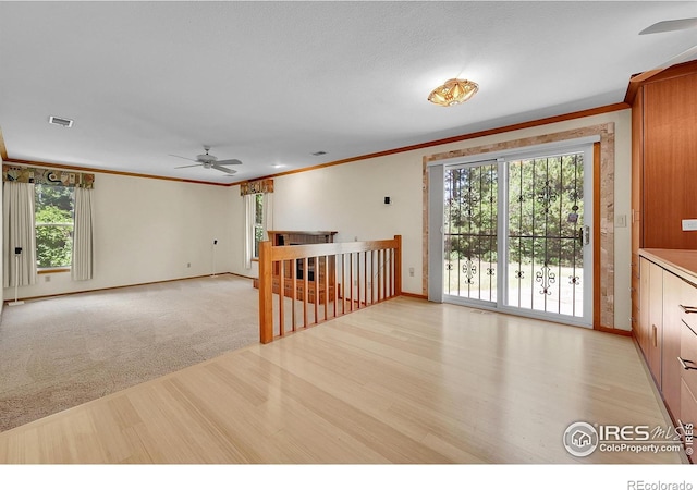 988 Cleveland Ct, Louisville, CO 80027 - photo 13