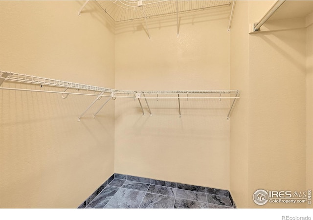988 Cleveland Ct, Louisville, CO 80027 - photo 23