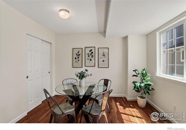 4108 Riley Dr, Longmont, CO 80503 - photo 15