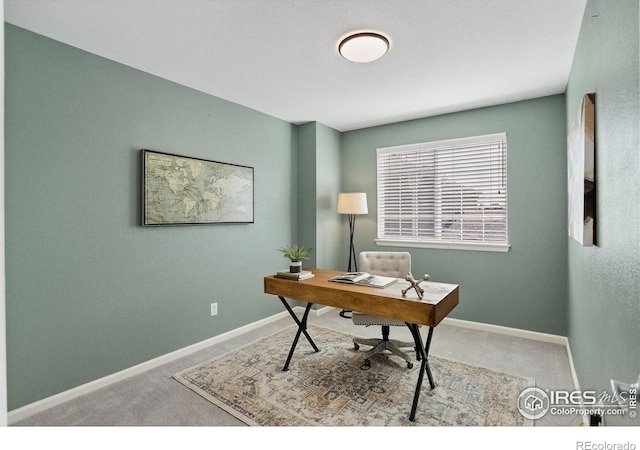 4108 Riley Dr, Longmont, CO 80503 - photo 24