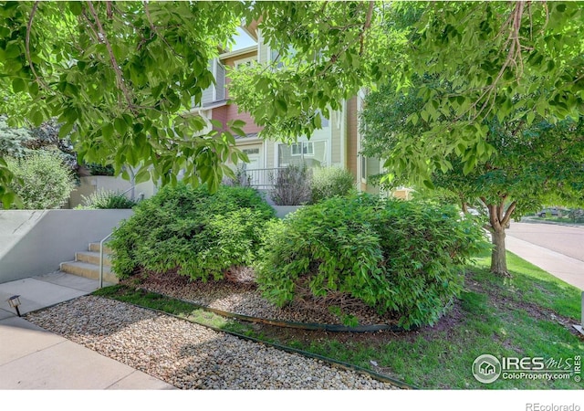 4108 Riley Dr, Longmont, CO 80503 - photo 31