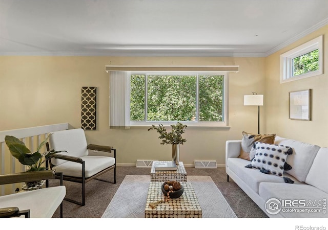 2519 Timber Ct, Fort Collins, CO 80521 - photo 6