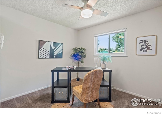 2519 Timber Ct, Fort Collins, CO 80521 - photo 14