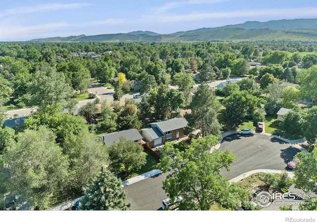 2519 Timber Ct, Fort Collins, CO 80521 - photo 30