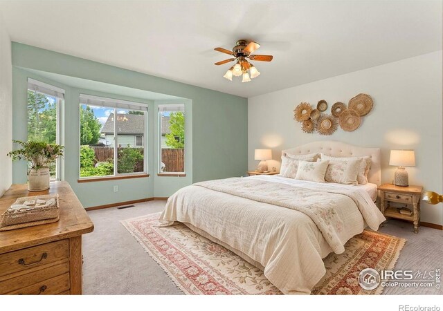 617 Snow Peak Ct, Loveland, CO 80538 - photo 17