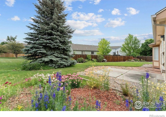 617 Snow Peak Ct, Loveland, CO 80538 - photo 26