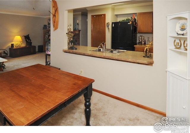 933 E Prospect Rd Unit A, Fort Collins, CO 80525 - kitchen with freestanding refrigerator, crown molding, carpet, and brown cabinetry