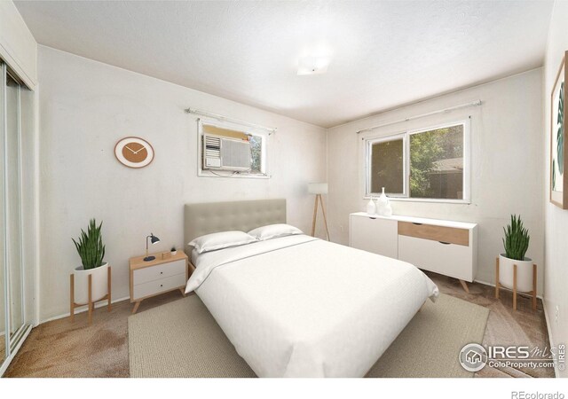 2418 10th Ave Unit A B, Greeley, CO 80631 - photo 16