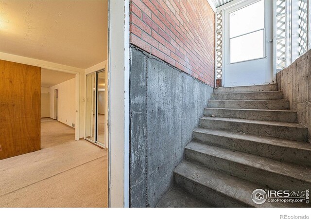 2418 10th Ave Unit A B, Greeley, CO 80631 - photo 37