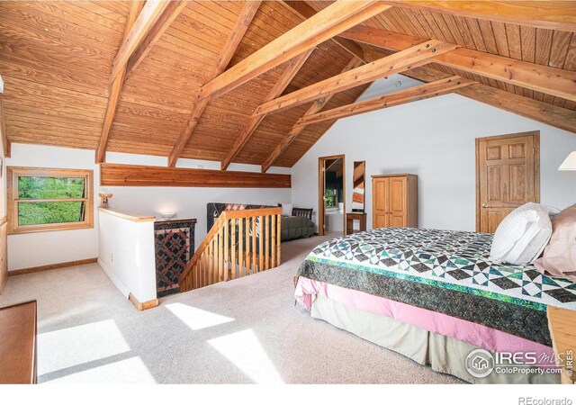 1056 Fall River Ct, Estes Park, CO 80517 - photo 16