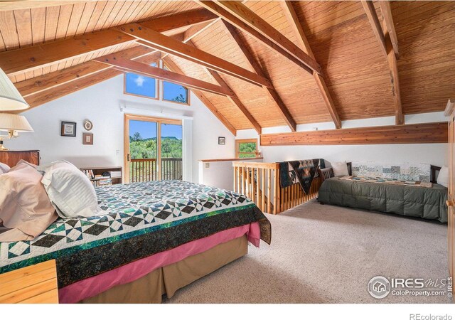 1056 Fall River Ct, Estes Park, CO 80517 - photo 19