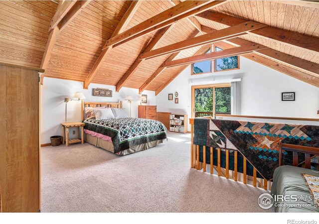 1056 Fall River Ct, Estes Park, CO 80517 - photo 20