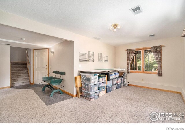 1056 Fall River Ct, Estes Park, CO 80517 - photo 22