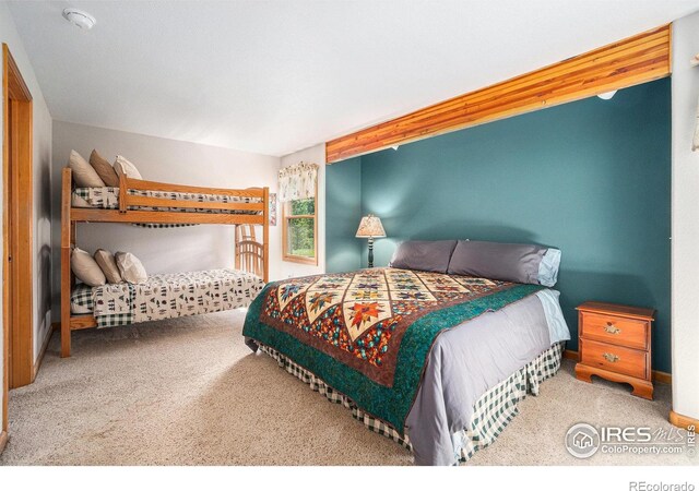 1056 Fall River Ct, Estes Park, CO 80517 - photo 24