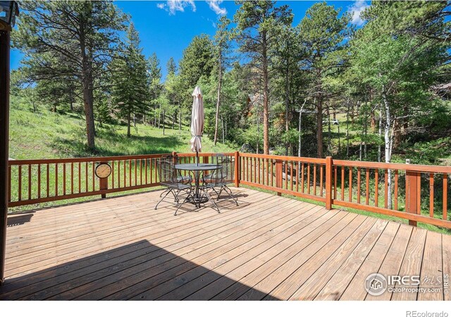 1056 Fall River Ct, Estes Park, CO 80517 - photo 26