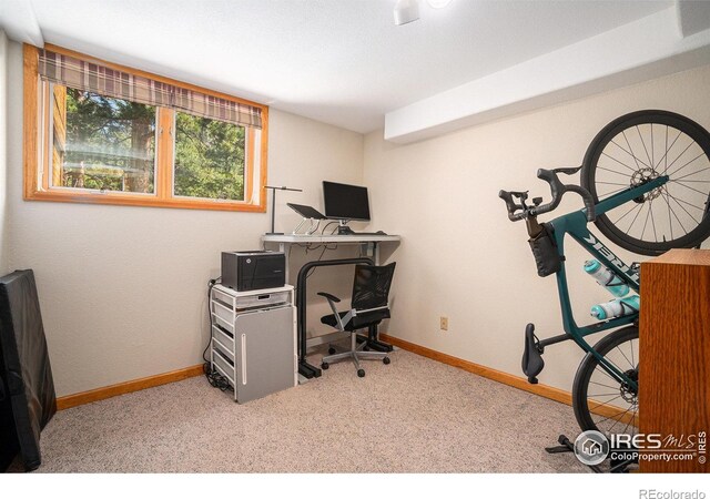 1056 Fall River Ct, Estes Park, CO 80517 - photo 31