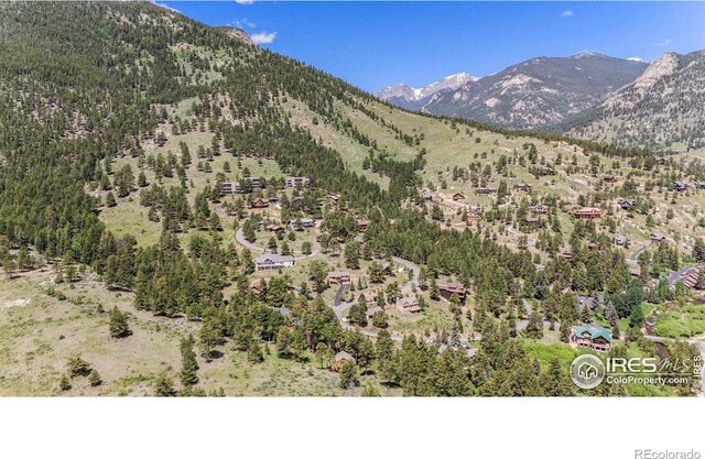 1056 Fall River Ct, Estes Park, CO 80517 - photo 33