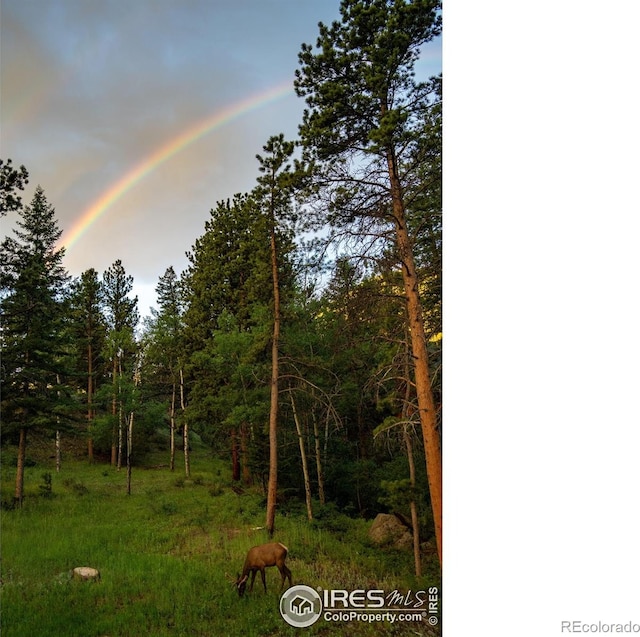 1056 Fall River Ct, Estes Park, CO 80517 - photo 37