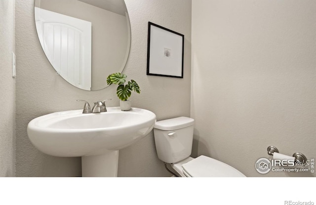 2742 Cooperland Blvd, Berthoud, CO 80513 - half bath with toilet and a sink