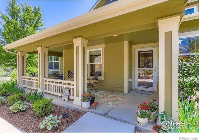 193 2nd Ave Unit A, Lyons, CO 80540 - property entrance with a porch