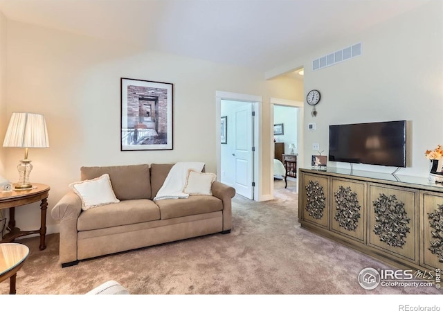 193 2nd Ave Unit A, Lyons, CO 80540 - living room featuring carpet