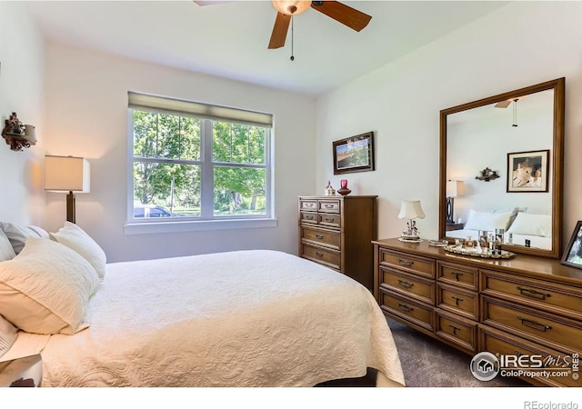 193 2nd Ave Unit A, Lyons, CO 80540 - bedroom with dark carpet and a ceiling fan