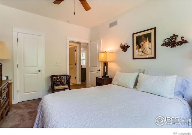 193 2nd Ave Unit A, Lyons, CO 80540 - bedroom featuring carpet floors and a ceiling fan