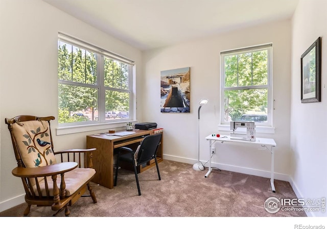 193 2nd Ave Unit A, Lyons, CO 80540 - home office with healthy amount of natural light and carpet flooring