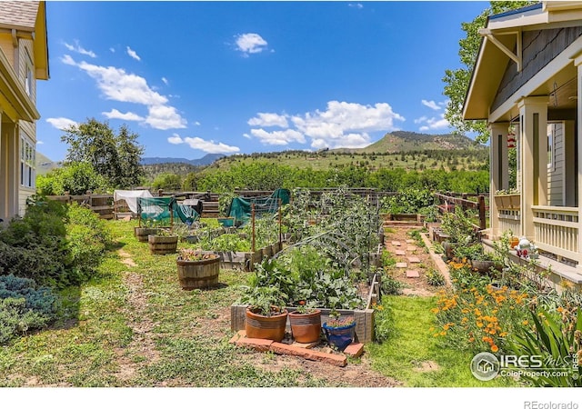 193 2nd Ave Unit A, Lyons, CO 80540 - view of yard with a vegetable garden and a mountain view