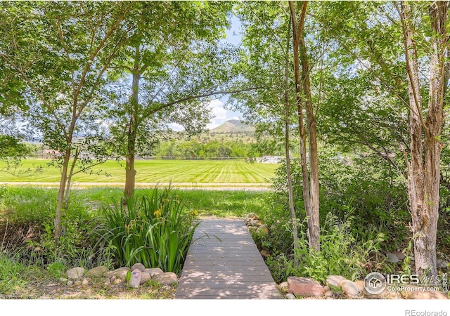 193 2nd Ave Unit A, Lyons, CO 80540 - view of green lawn
