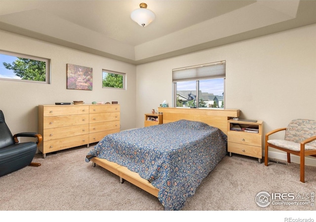 5254 Rock Hill St, Timnath, CO 80547